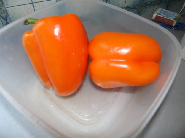 image017