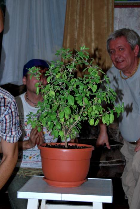 DSC_0234_700x469