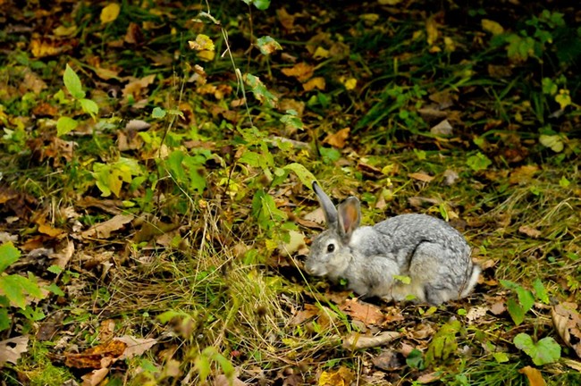 Img_28_09_2012_38