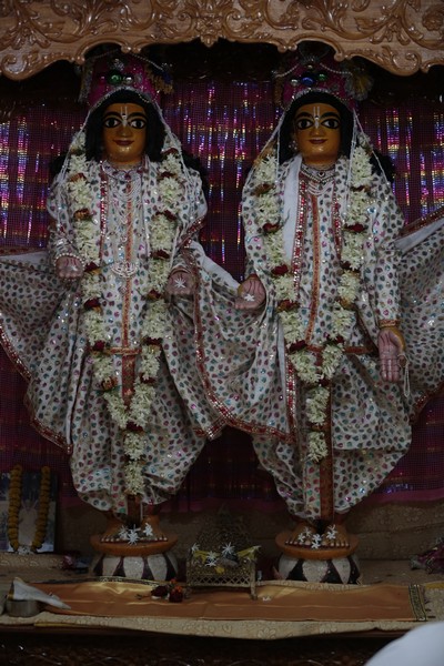 Image_00012