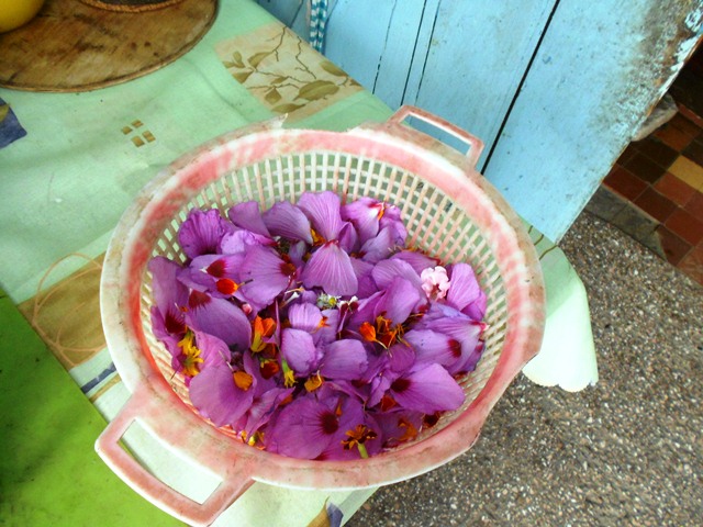 DSCN2634