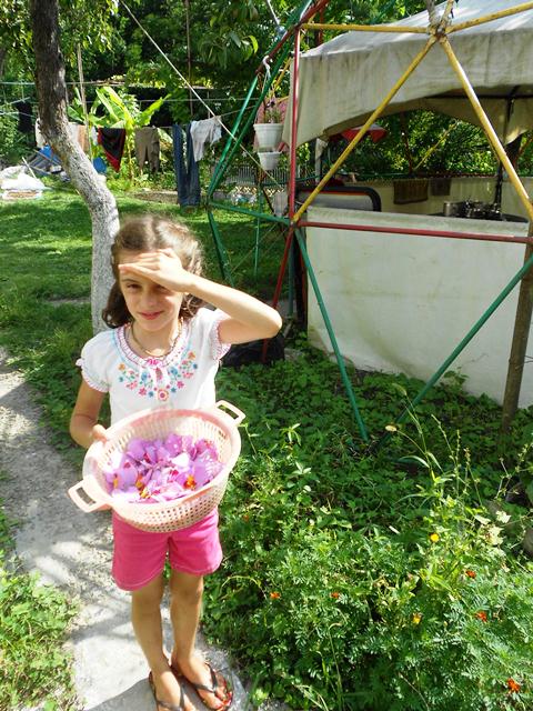 DSCN2635