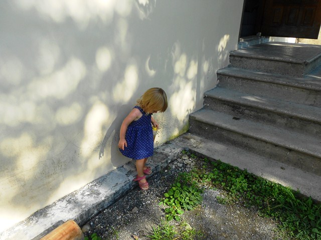 DSCN2658