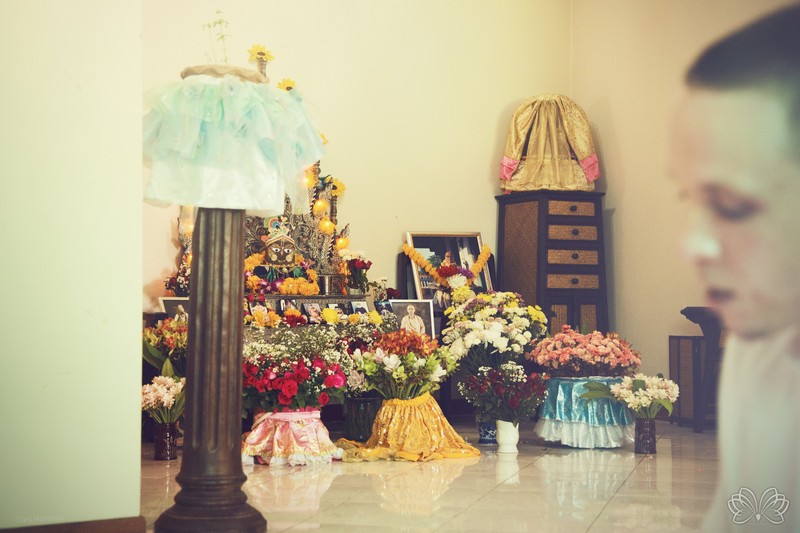 smal_00024