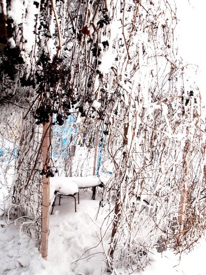 02_site
