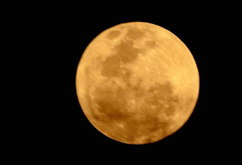 MOON 