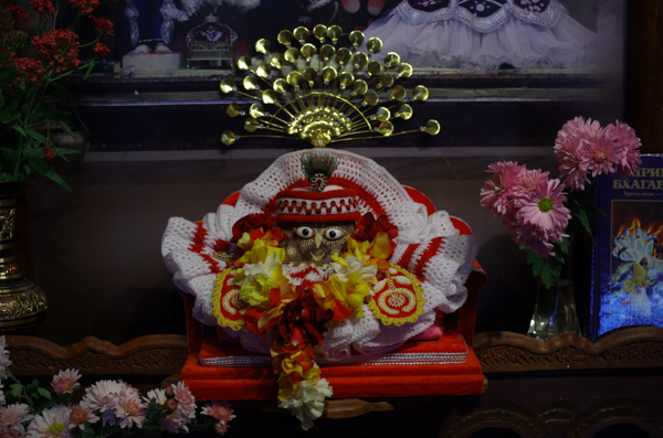 IMGP0423