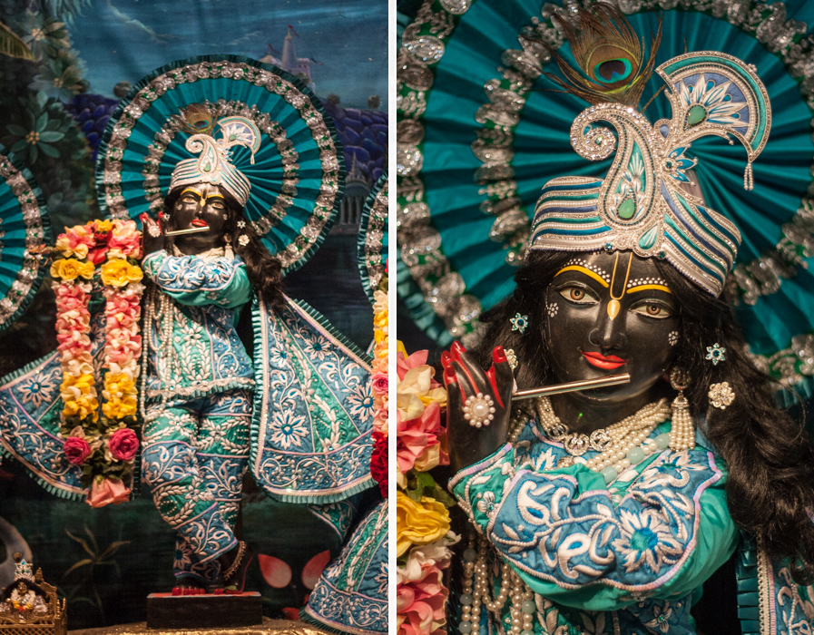 _MG_0881 copy