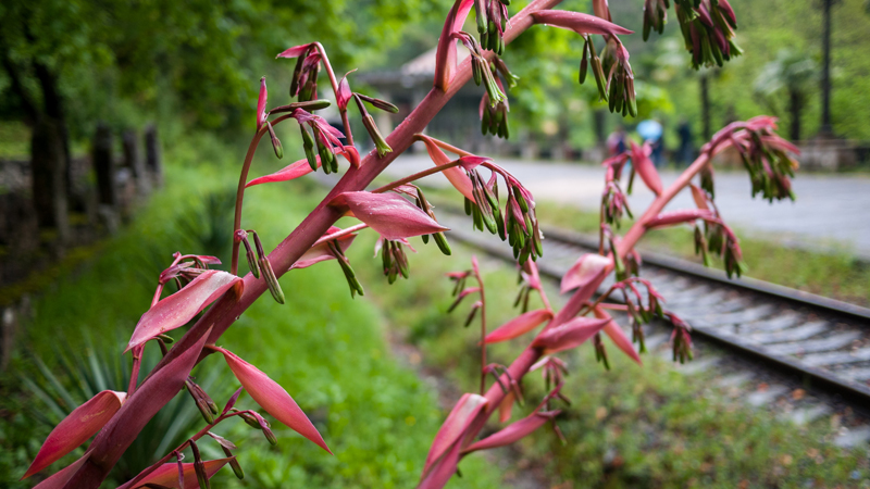P1280441