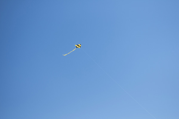 _DSC4795