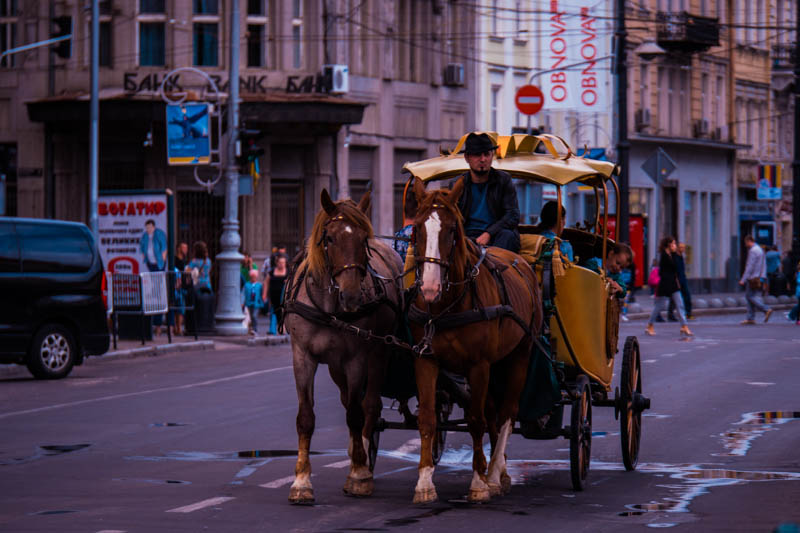 150712_P1420549-2