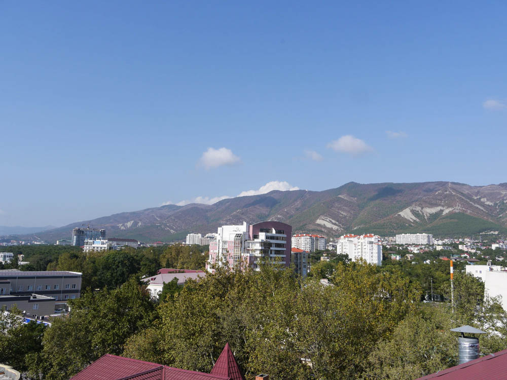 P1540289