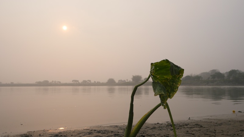 P1670387
