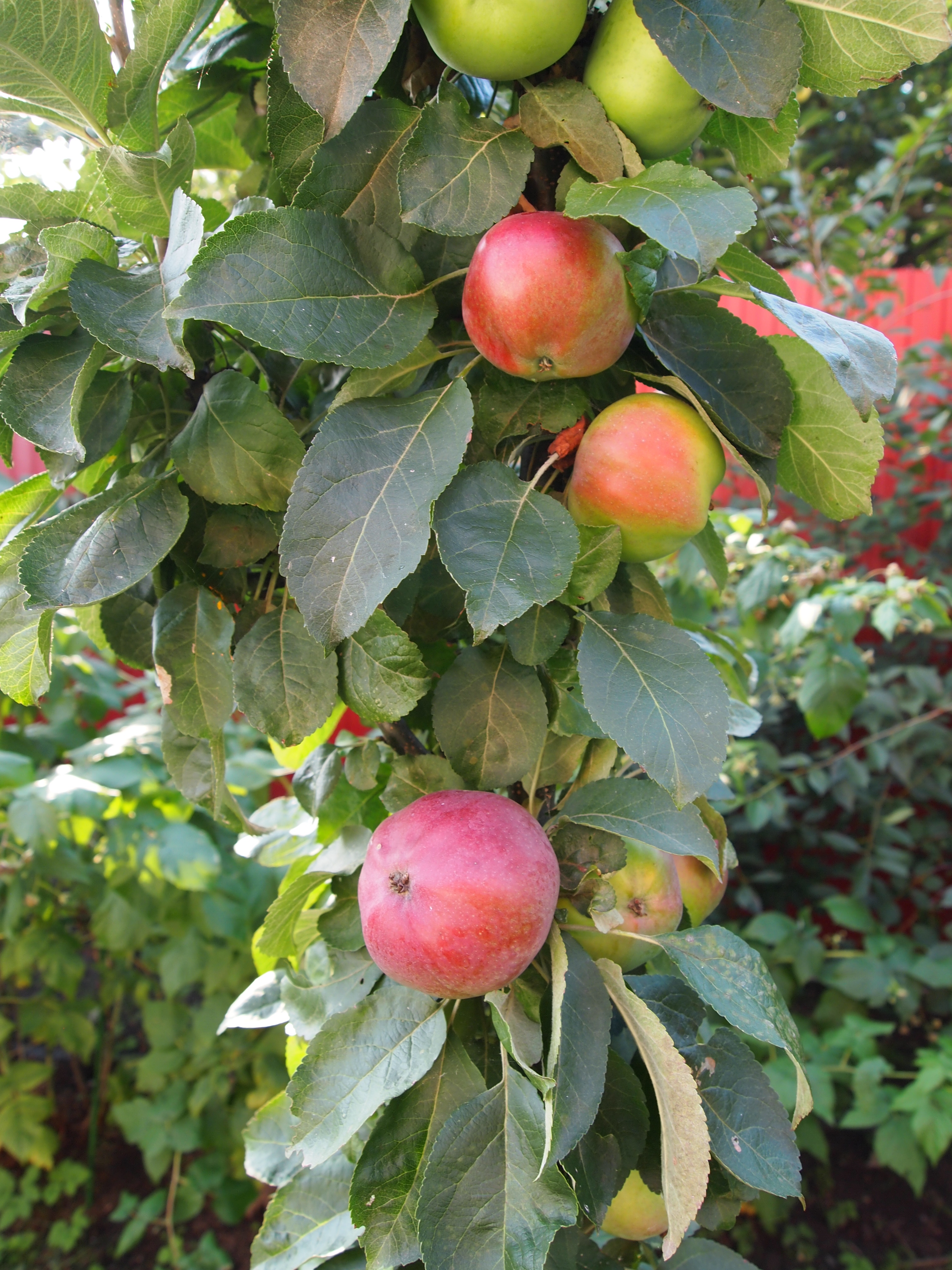 08