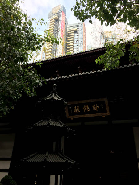 IMG_5728