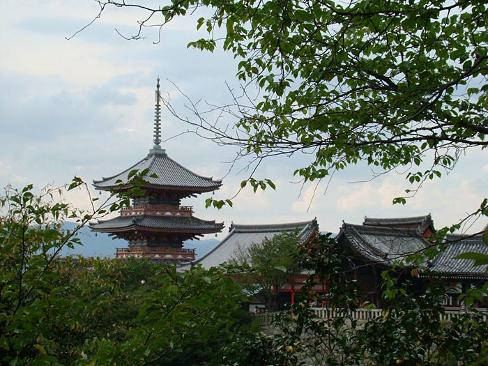 33 DSC03874