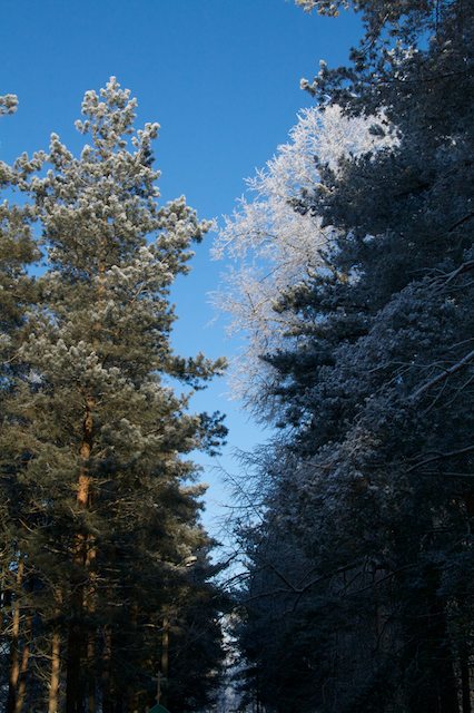 Novgorod5