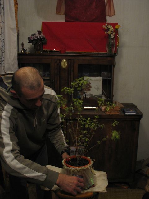 27 О Туласи Махарани! О Вринда! О мать Преданности! О Нараяни, я снова и снова предлагаю тебе сво