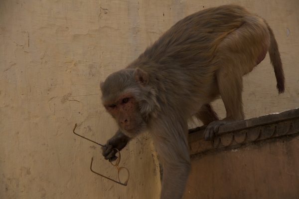 2009_India44