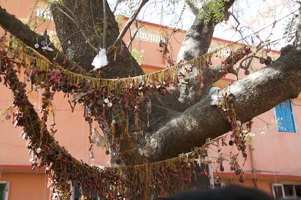 parikrama14