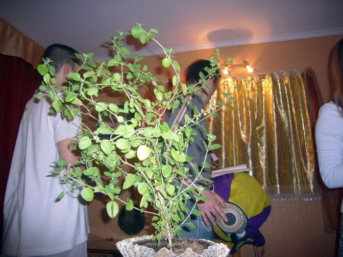 11