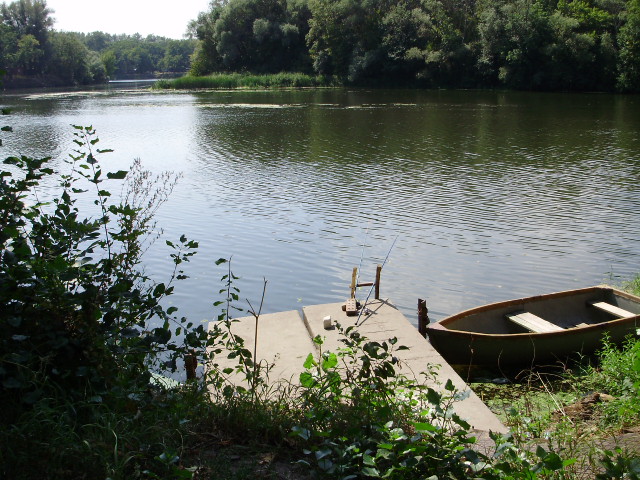 image007