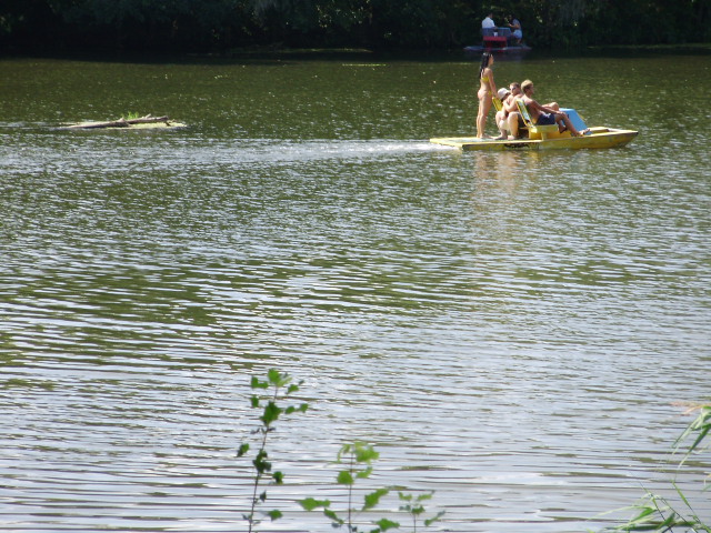 image008