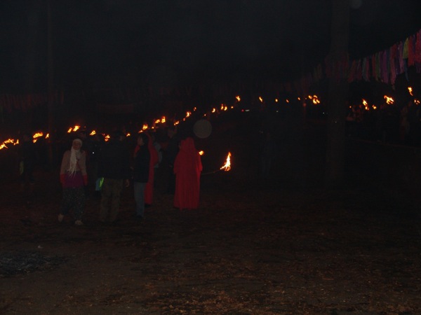 DSC01003