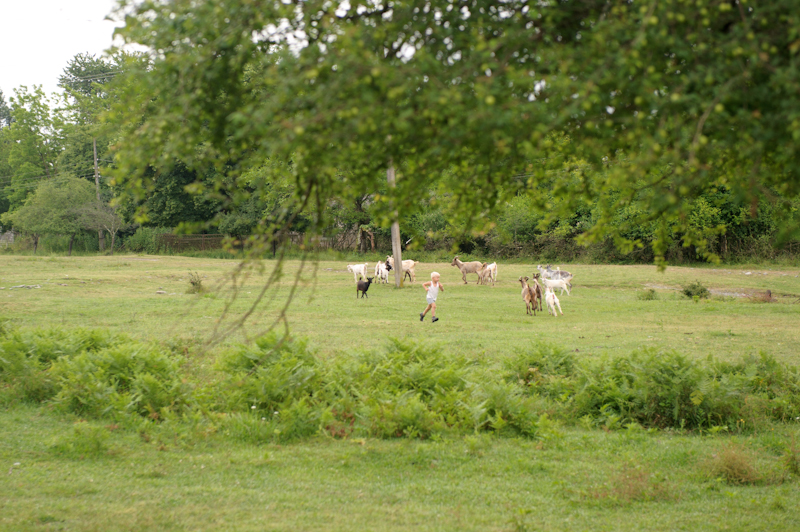 DSC_9356