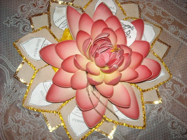 DSCN0249