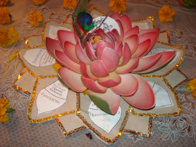 DSCN0302