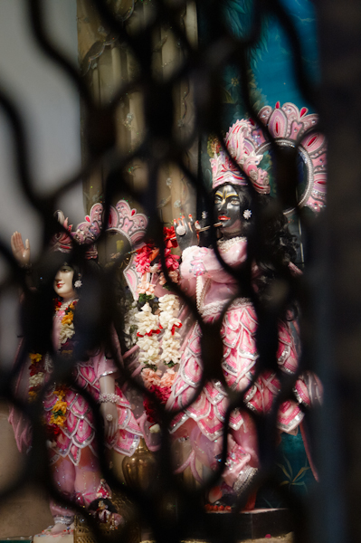 Gurapurnima_2012_00068