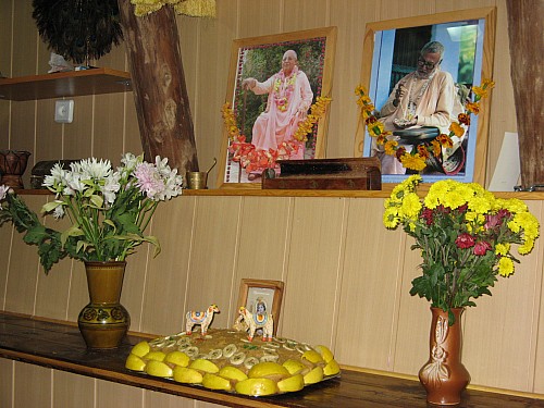 06.jpg