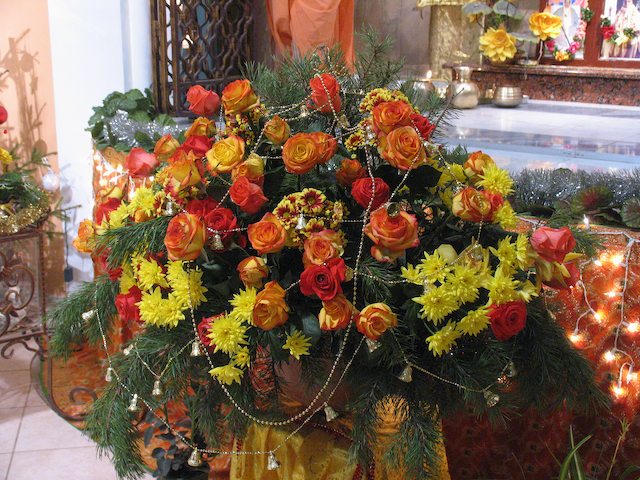 Goswami11.jpg