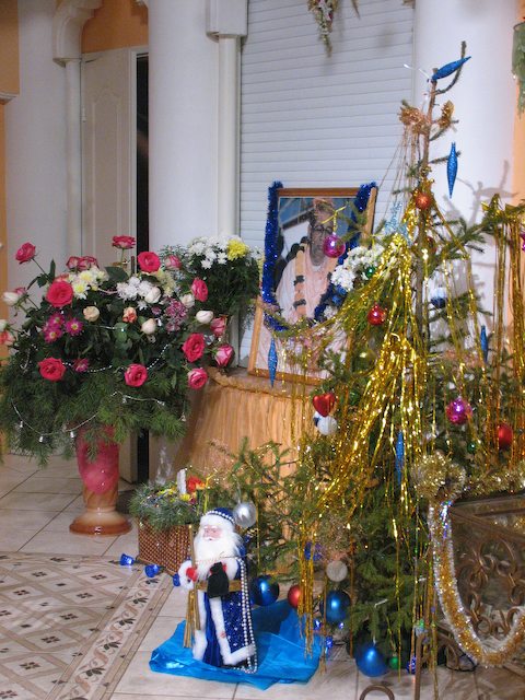 Goswami14.jpg