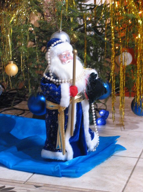 Goswami17.jpg