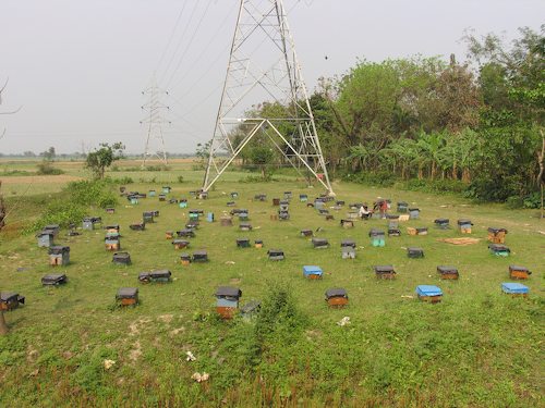 24-20080319