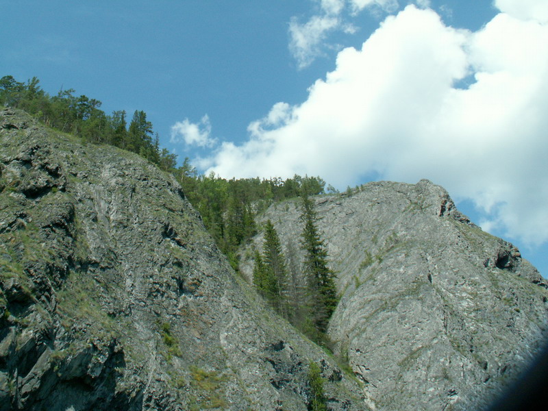 15_resize