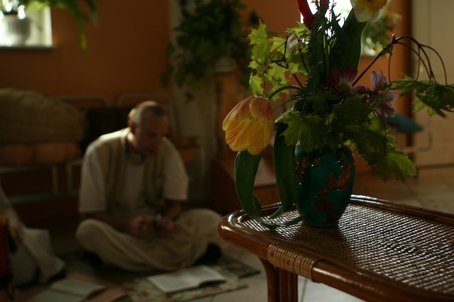 evening11