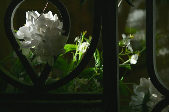 evening14