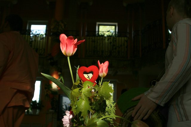 evening19