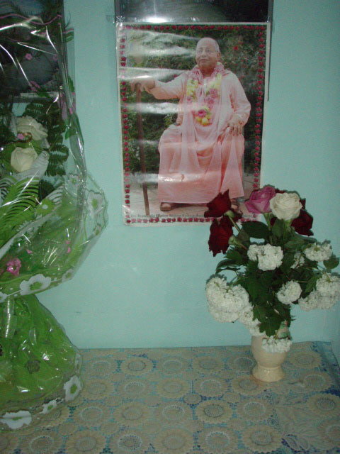 P5258541