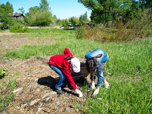 eco action 17