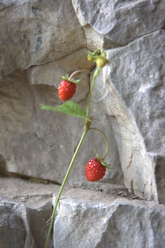 10_resize