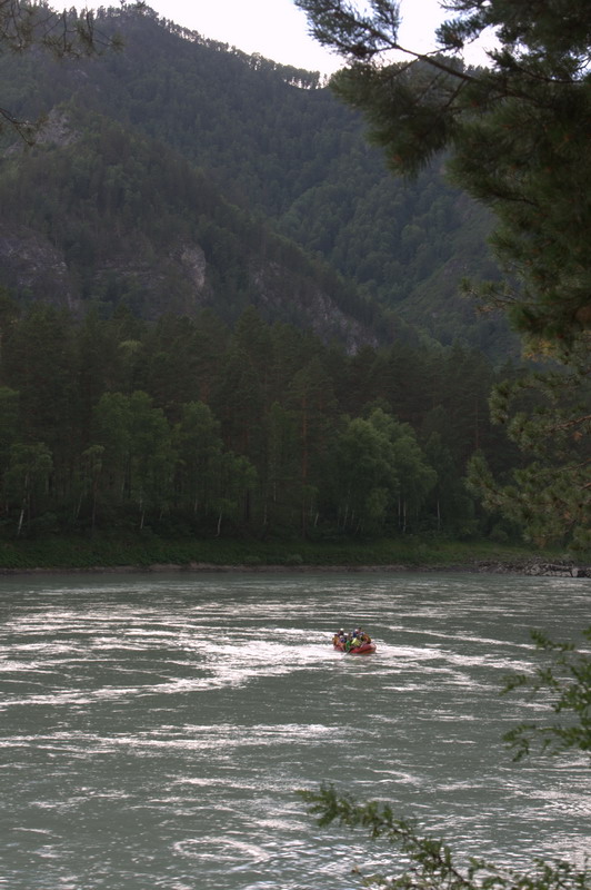 25_resize