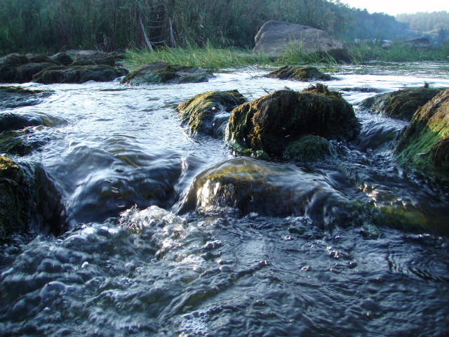 P7128930
