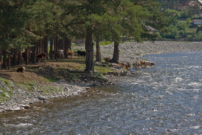 03_resize