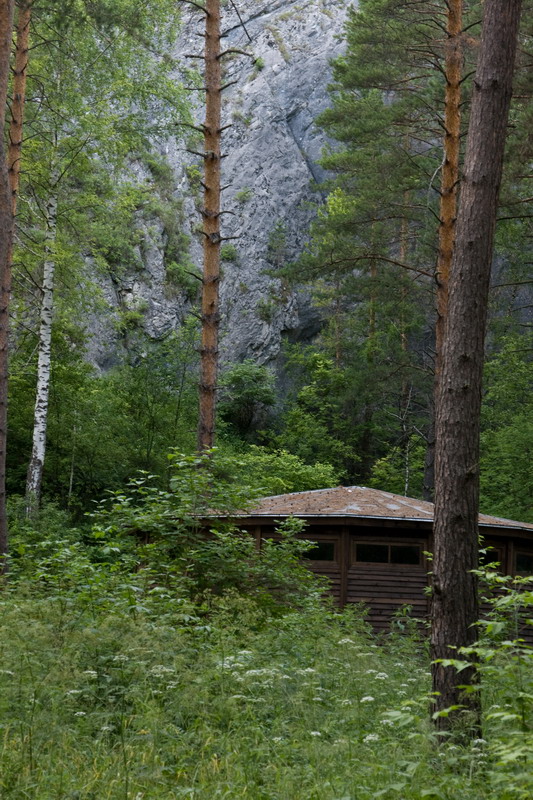 11_resize