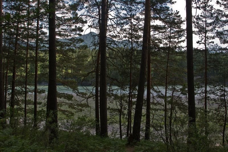 22_resize