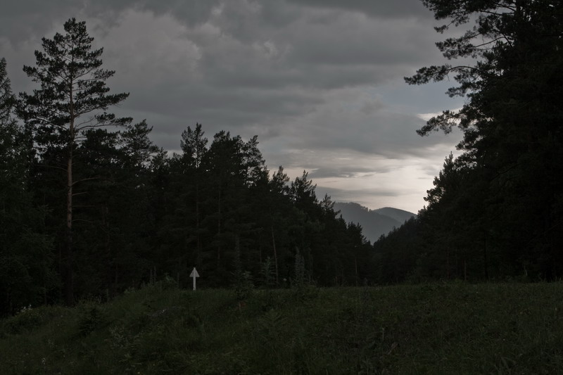 25_resize